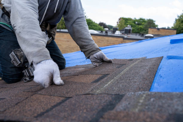 Roof Waterproofing Services in Kraemer, LA