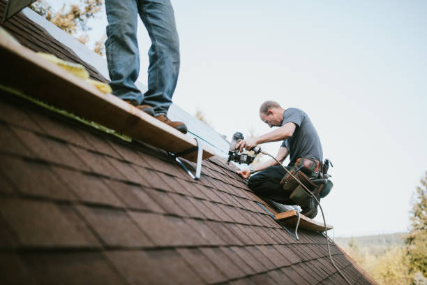 Best Roof Gutter Cleaning  in Kraemer, LA