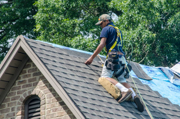 Reliable Kraemer, LA Roofing Contractor Solutions